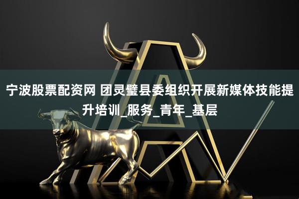 宁波股票配资网 团灵璧县委组织开展新媒体技能提升培训_服务_青年_基层