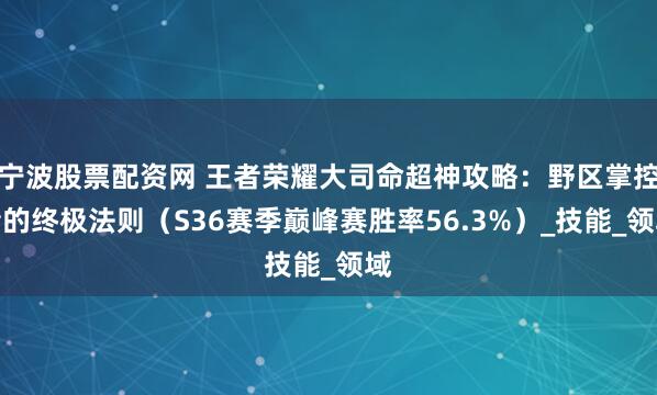 宁波股票配资网 王者荣耀大司命超神攻略：野区掌控者的终极法则（S36赛季巅峰赛胜率56.3%）_技能_领域